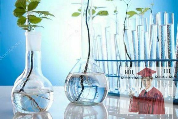 ecology lab ecology lab