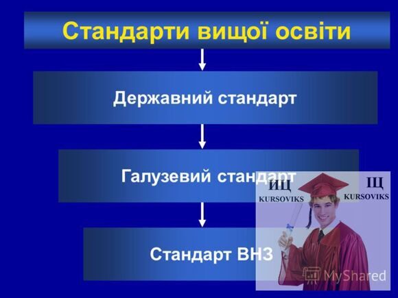 стандарти якості освіти, український стандарт освіти