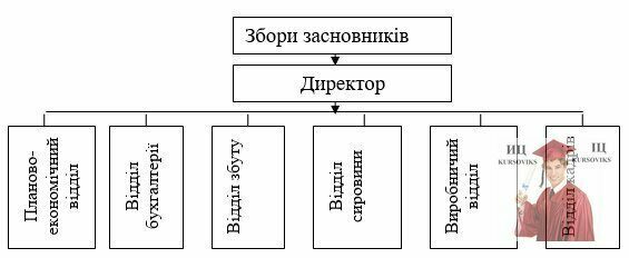 М409, Рис.1. Організаційна структура ТОВ ДАР