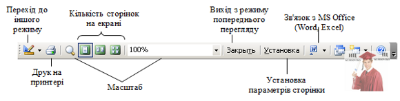 М5174, Рис. 1.10 - Панель попереднього перегляду звітів